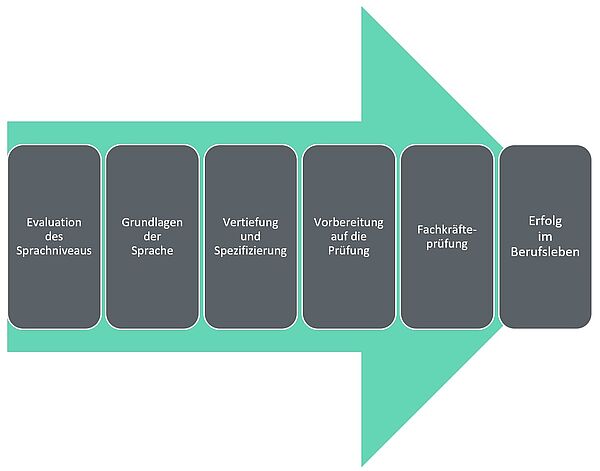 Arrow diagram with six stages: From language evaluation to exam preparation to professional success for nursing professionals