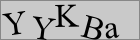 Güvenlik kodu