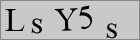 رمز الأمان