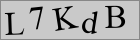 Güvenlik kodu